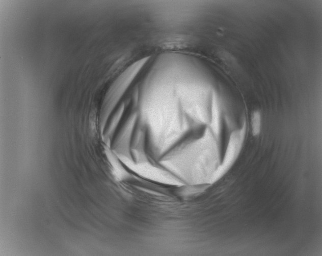 X0000080121444200612301958