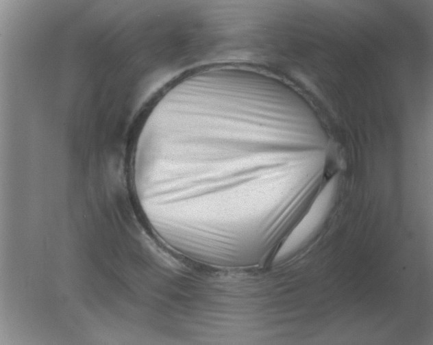 X0000080121452200612301958