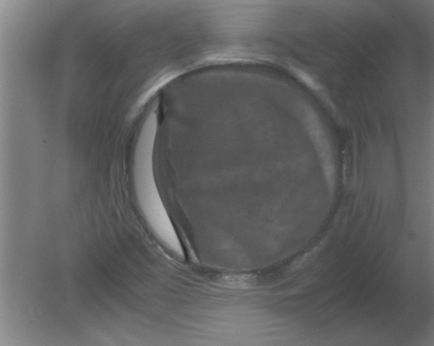 X0000080121453200612301958