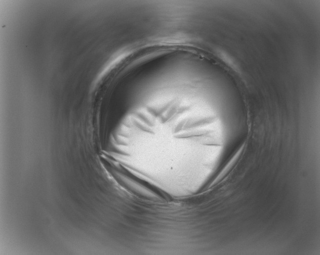 X0000080121456200612301958