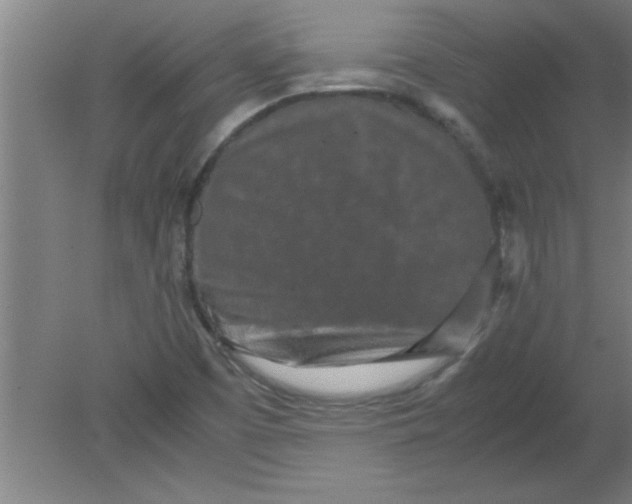X0000080121457200612301958