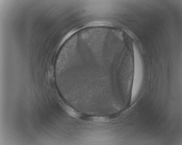 X0000080121465200612301957