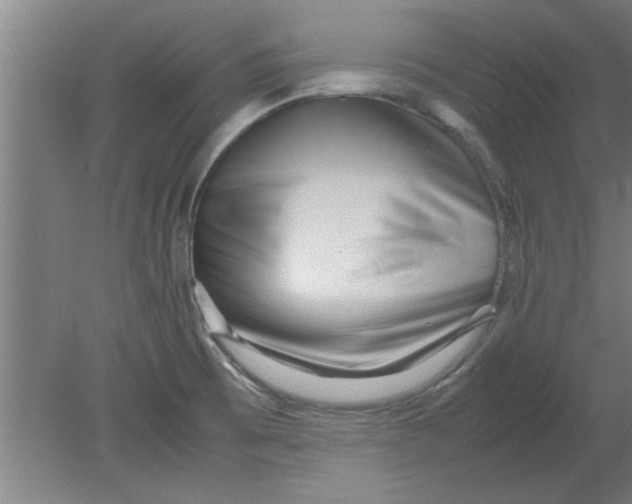 X0000080121473200612301957