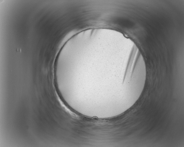 X0000080121479200612301957