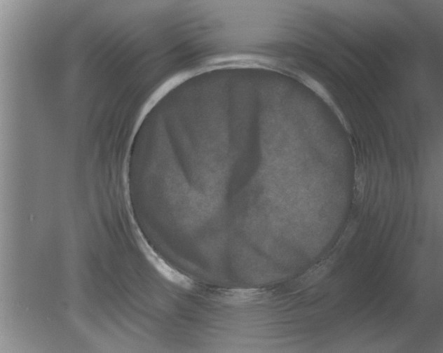 X0000080121482200612301957