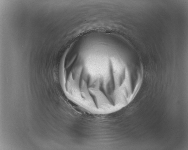 X0000080121490200612301956