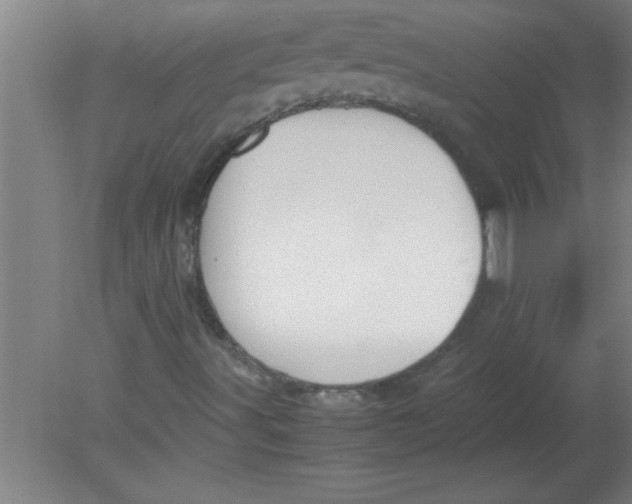 X0000080121491200612301956