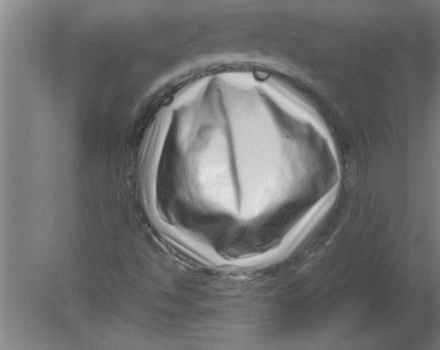 X0000080121494200612301956