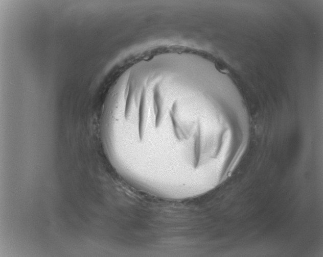X0000080121495200612301956