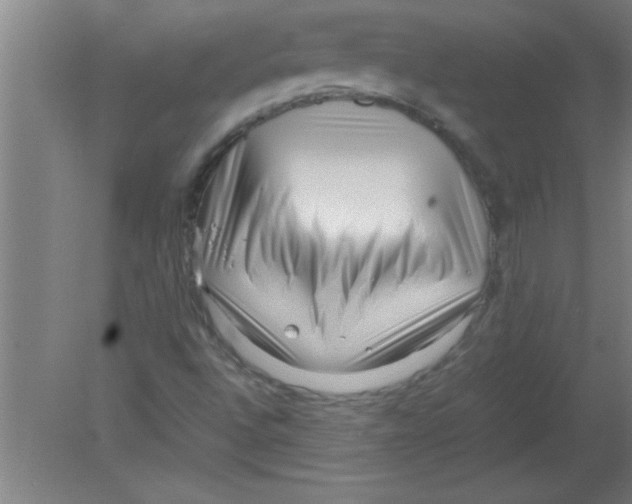 X0000080121496200612301956