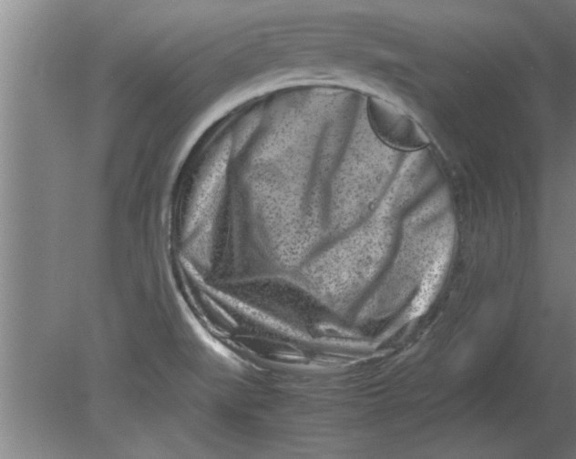 X0000080121519200612301957