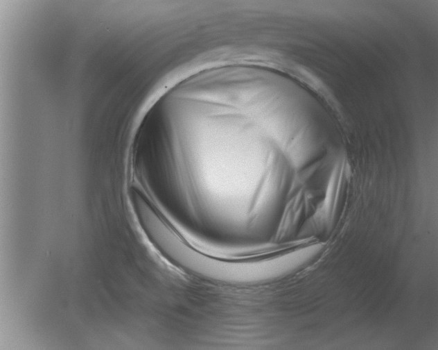 X0000080121520200612301957