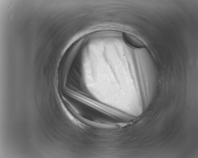X0000080121523200612301957