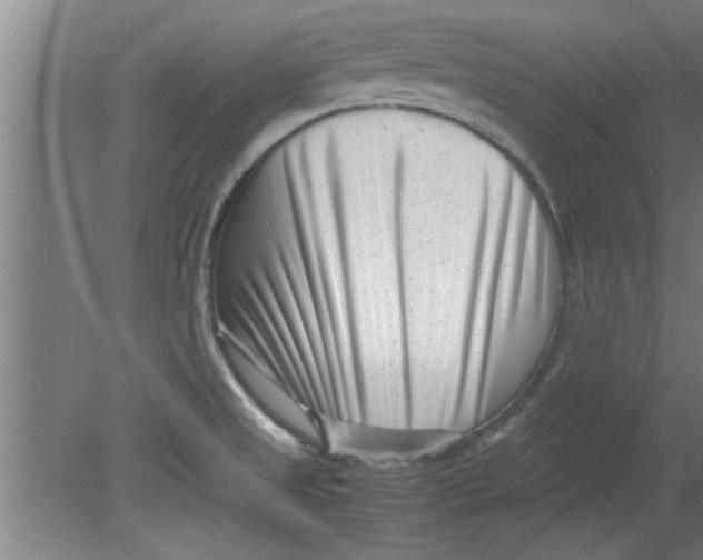 X0000080121525200612301957