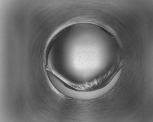 X0000080121528200612301957