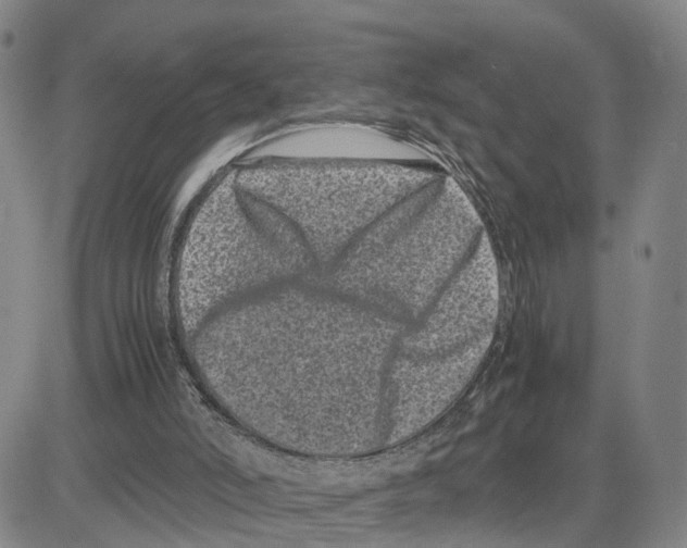 X0000080120006200701051406