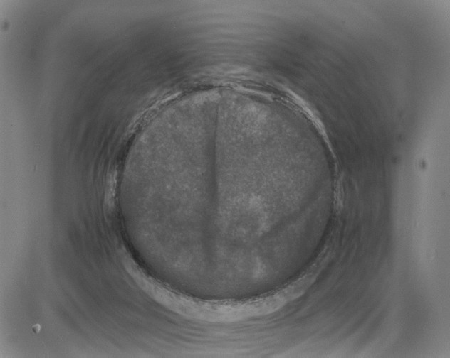 X0000080120018200701051406