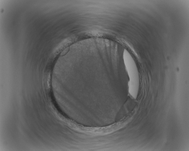 X0000080120023200701051405