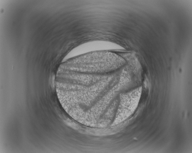 X0000080120041200701051405