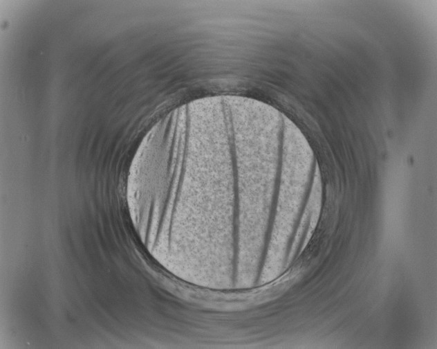 X0000080120048200701051405