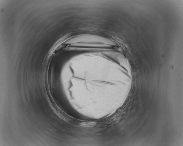 X0000080120051200701051404