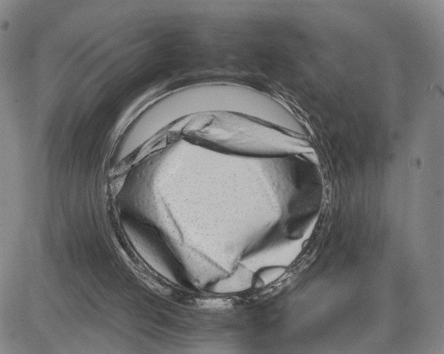 X0000080120053200701051404