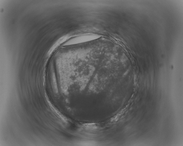 X0000080120054200701051404