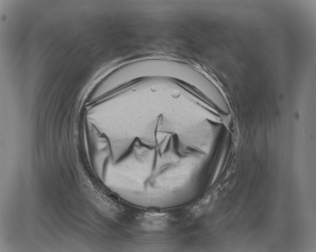 X0000080120055200701051404
