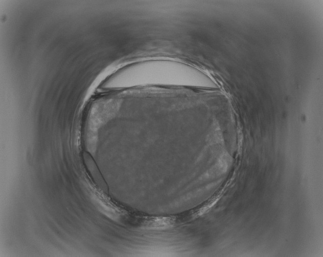 X0000080120056200701051404