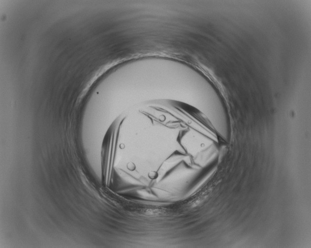 X0000080120060200701051404