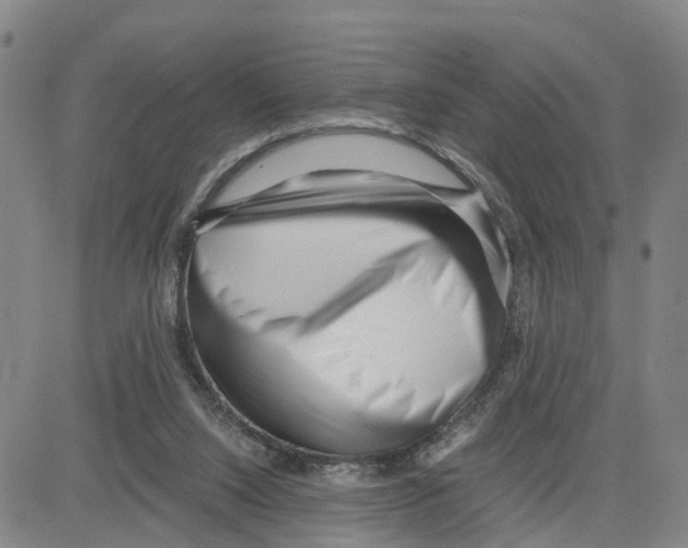 X0000080120064200701051405