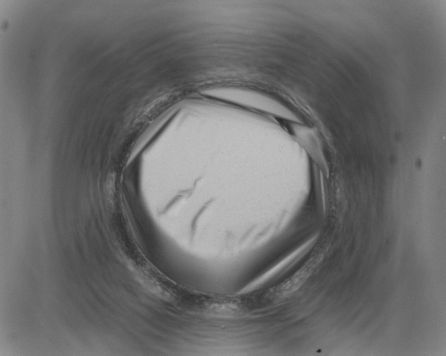 X0000080120066200701051405