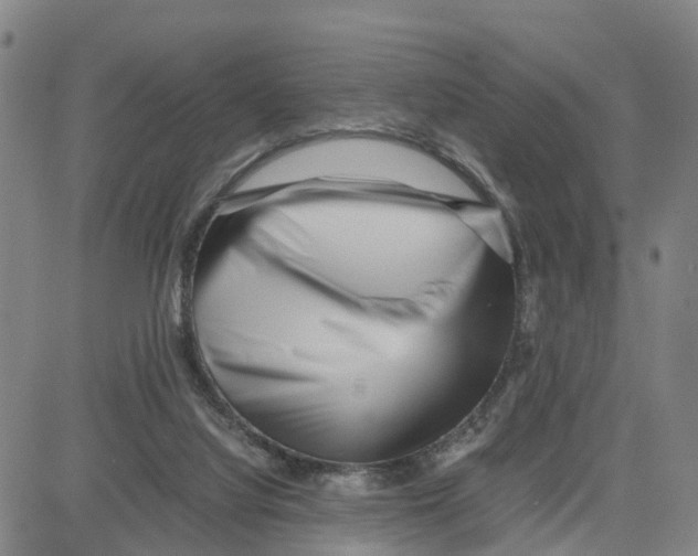 X0000080120068200701051405