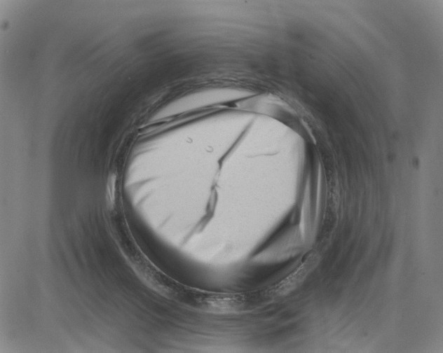 X0000080120070200701051405
