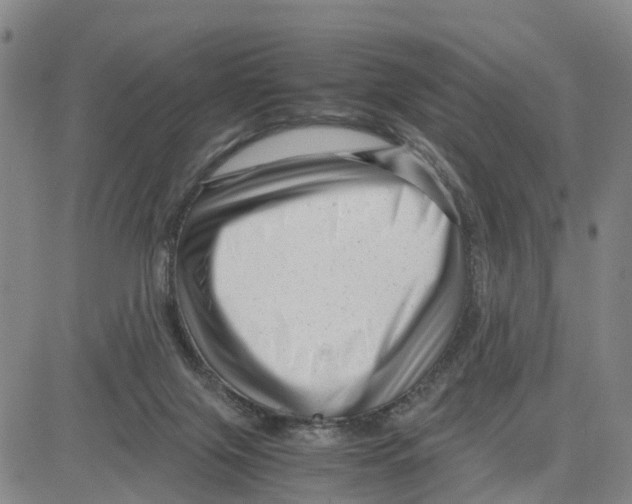 X0000080120071200701051405