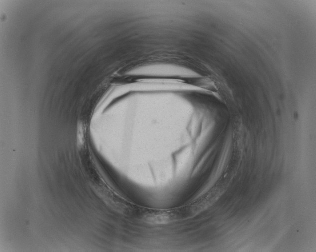 X0000080120075200701051405