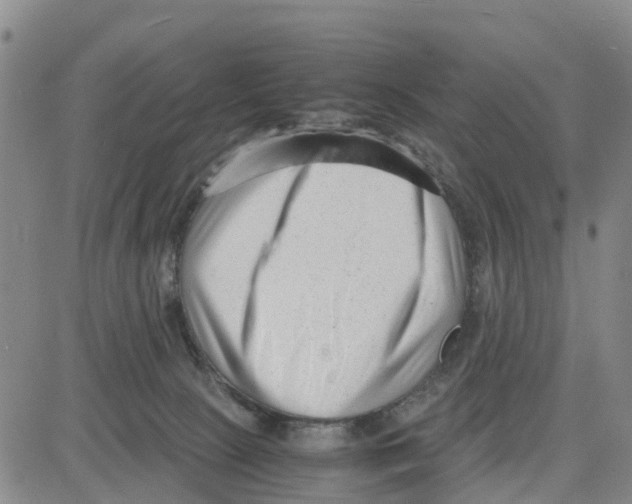 X0000080120081200701051405