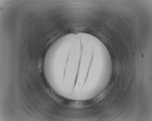 X0000080120082200701051405
