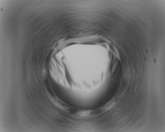 X0000080120084200701051405