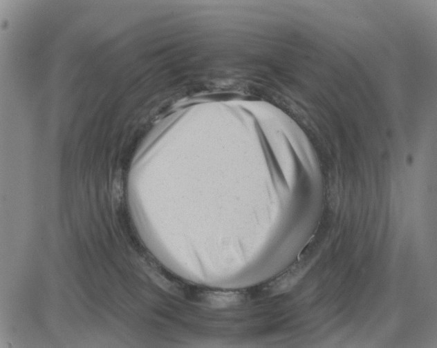 X0000080120085200701051405
