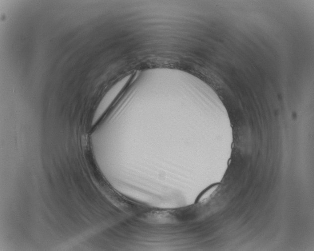 X0000080120086200701051405