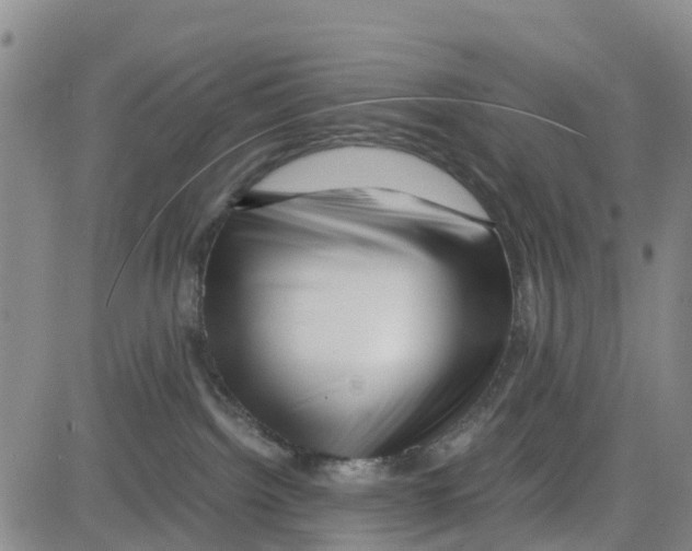 X0000080120092200701051405