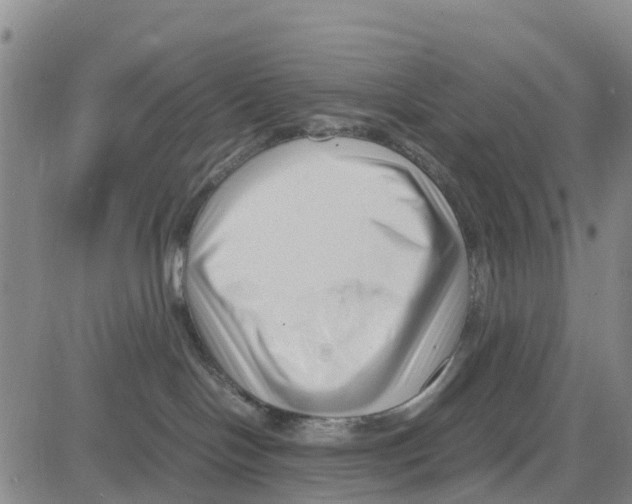 X0000080120094200701051405