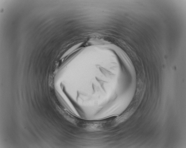 X0000080120096200701051405