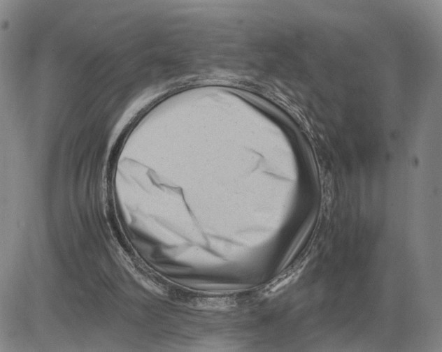 X0000080120102200701051404