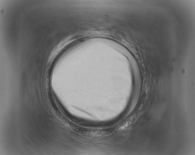 X0000080120103200701051404