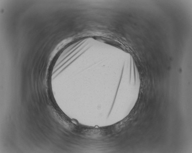 X0000080120104200701051404
