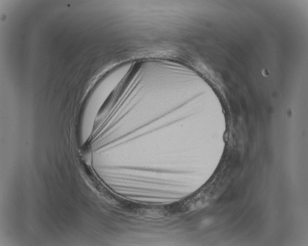 X0000080120107200701051404
