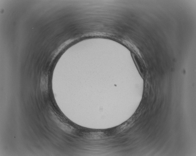 X0000080120108200701051404