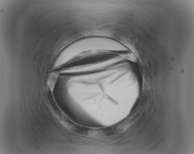 X0000080120109200701051404